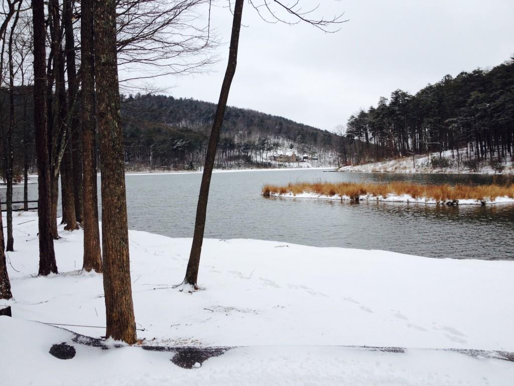 1688 Mulberry Circle Jasper, GA 30143 - Photo 86 of 90 a view of swimming pool with a patio and a yard