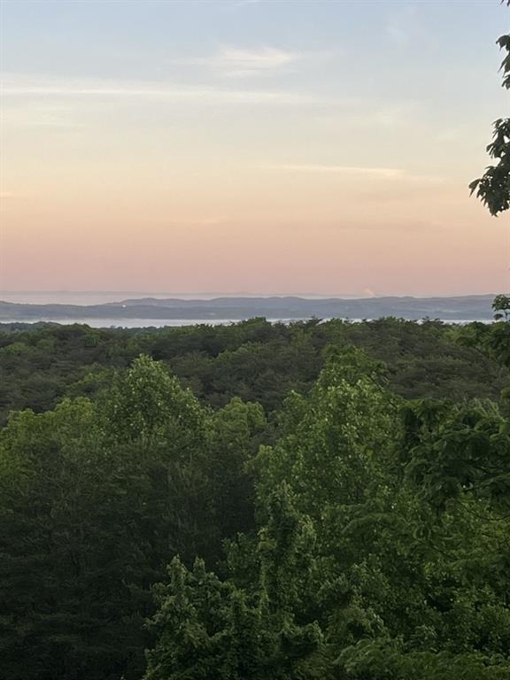 1688 Mulberry Circle Jasper, GA 30143 - Photo 90 of 90 a view of a field with trees in background