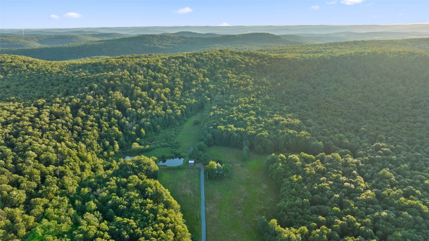 90 Baker Road Deposit, NY 13754 - Photo 7 of 49