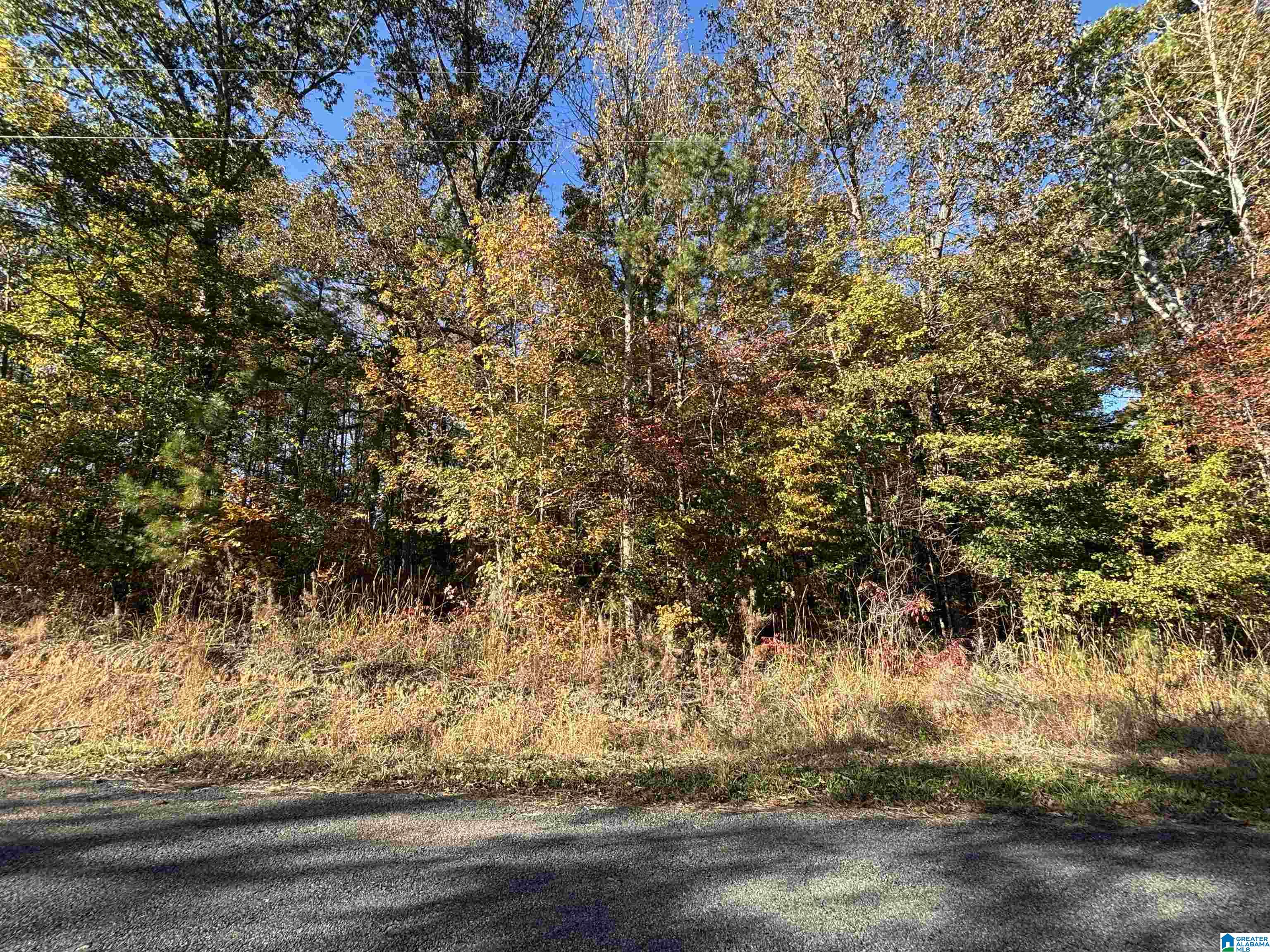 0 Waldrop Road, Unit 10 82 ACRES Ashville, AL 35953 - Photo 9 of 22