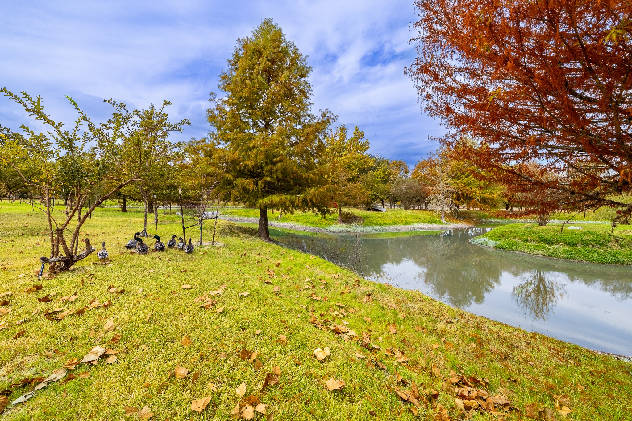 3100 Trails End Lane Brenham, TX 77833 - Photo 23 of 50 a view of lake