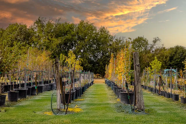 $2,295,000 | 3100 Trails End Lane, Brenham, TX 77833