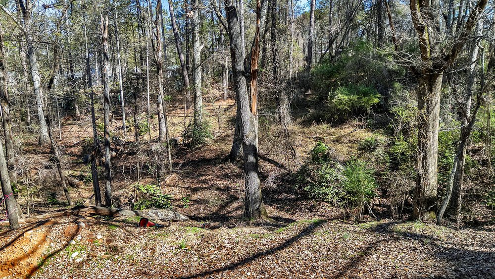 0 Cedar Grove Road Townville, SC 29689 - Photo 1 of 9 This verdant expanse offers a secluded setting, perfect for building your dream home amidst nature's tranquility.