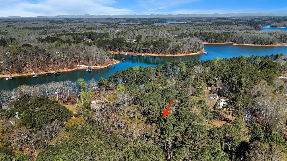 0 Cedar Grove Road Townville, SC 29689 - Photo 2 of 9 This aerial perspective showcases a property nestled amidst lush woodland, bordering a serene lake with mountain views.