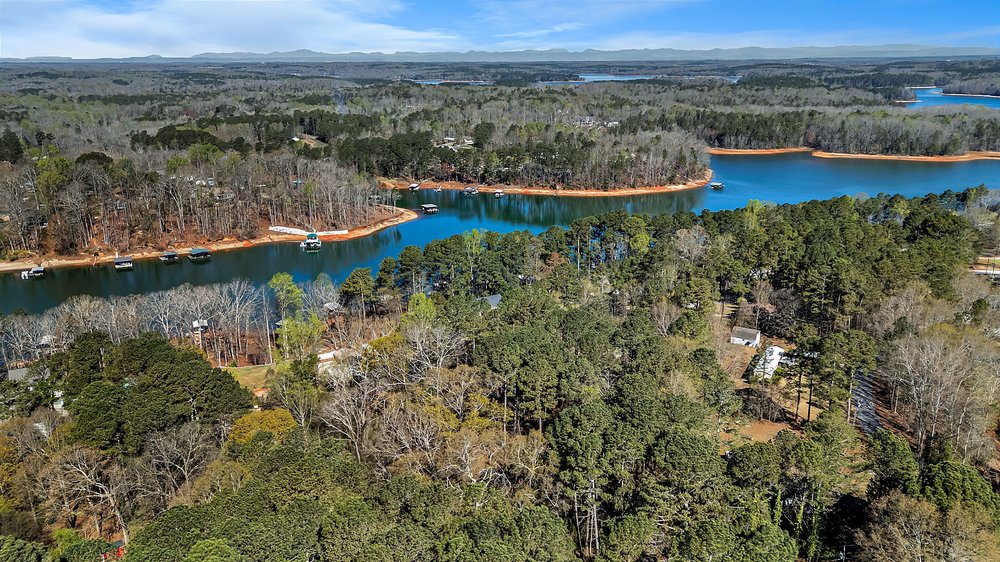 0 Cedar Grove Road Townville, SC 29689 - Photo 4 of 9 This aerial view showcases a vibrant waterfront community nestled amidst expansive woodlands.