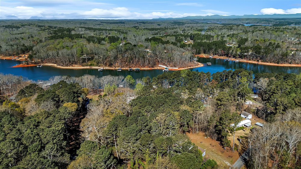 0 Cedar Grove Road Townville, SC 29689 - Photo 5 of 9 This elevated view captures the expansive lakefront with dense woodland and distant mountains.