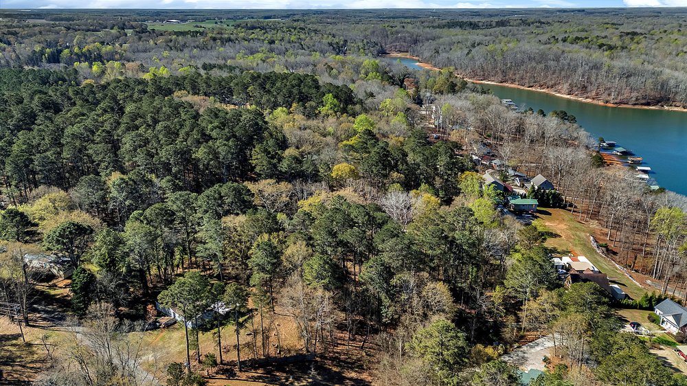 0 Cedar Grove Road Townville, SC 29689 - Photo 7 of 9 This elevated view captures the expansive landscape with its lush woodlands and inviting waterfront.
