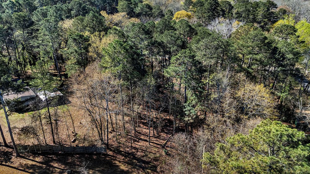0 Cedar Grove Road Townville, SC 29689 - Photo 9 of 9 This expansive, wooded lot provides privacy and natural beauty, ideal for building your dream home.