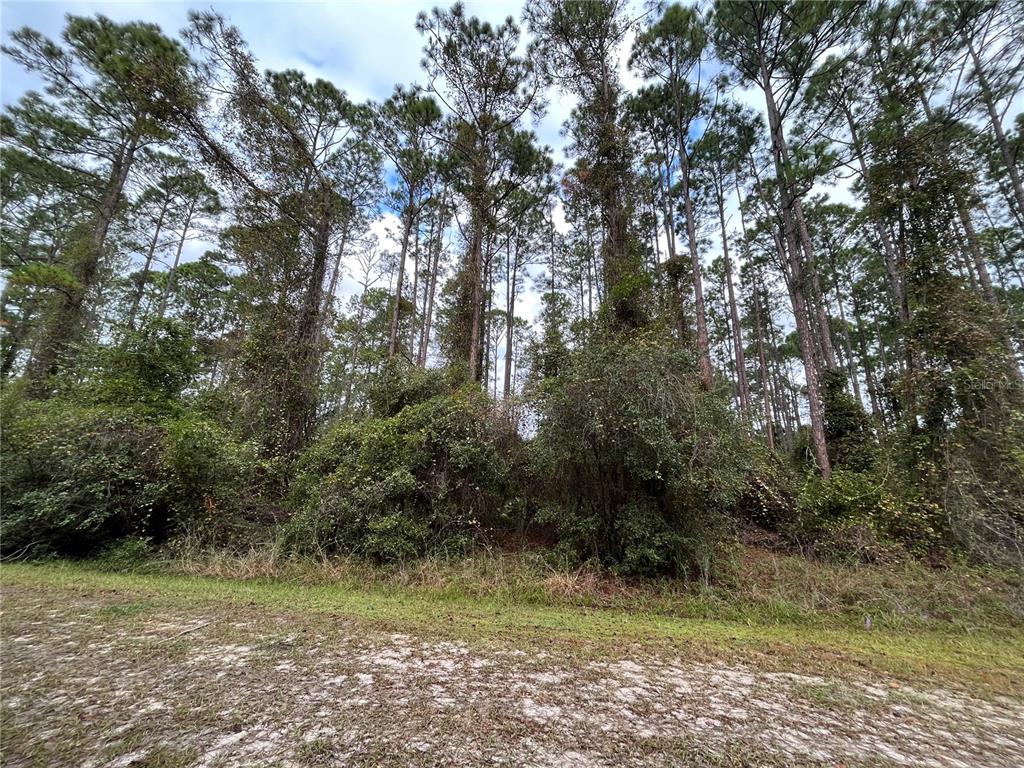 108 5th Street Georgetown, FL 32139 - Photo 3 of 7