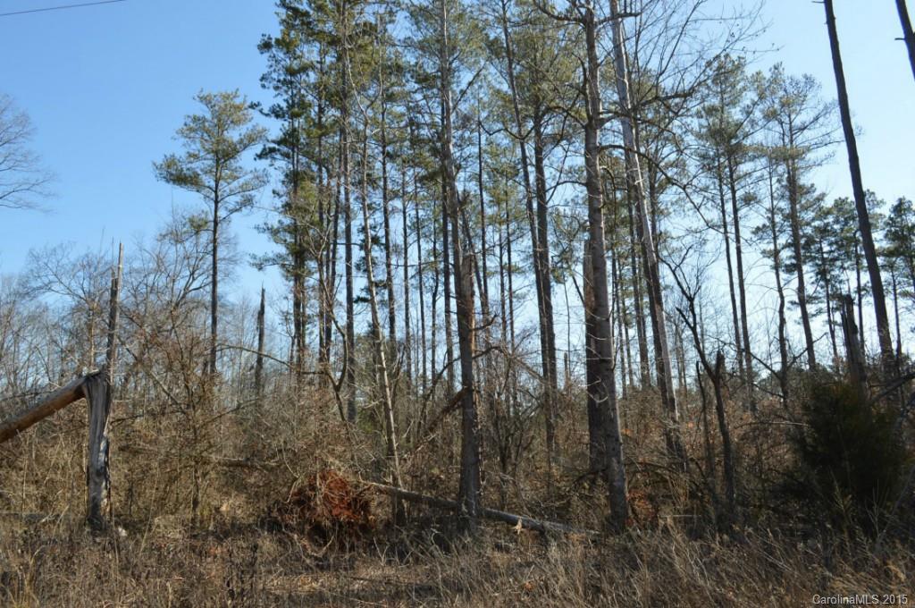 41 Rolling Road, Unit 41 Lincolnton, NC 28092 - Photo 2 of 7 Gallery Image 2