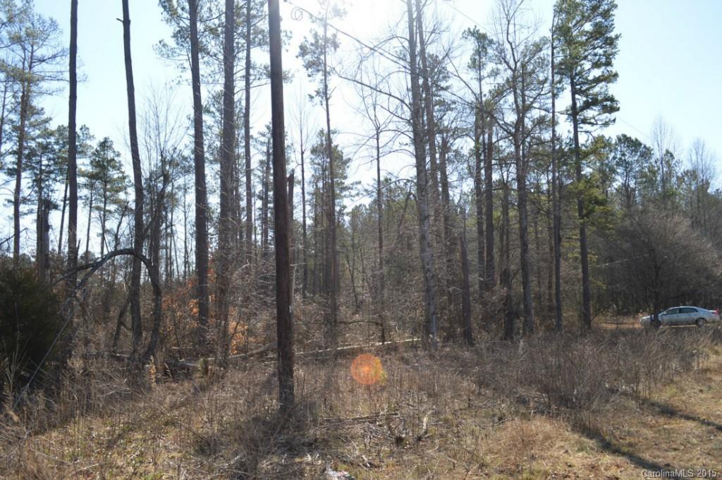 41 Rolling Road, Unit 41 Lincolnton, NC 28092 - Photo 3 of 7 Gallery Image 3