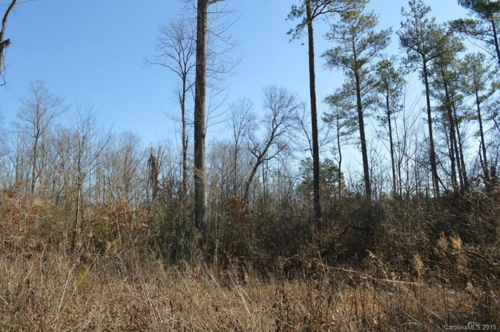 41 Rolling Road, Unit 41 Lincolnton, NC 28092 - Photo 4 of 7 Gallery Image 4