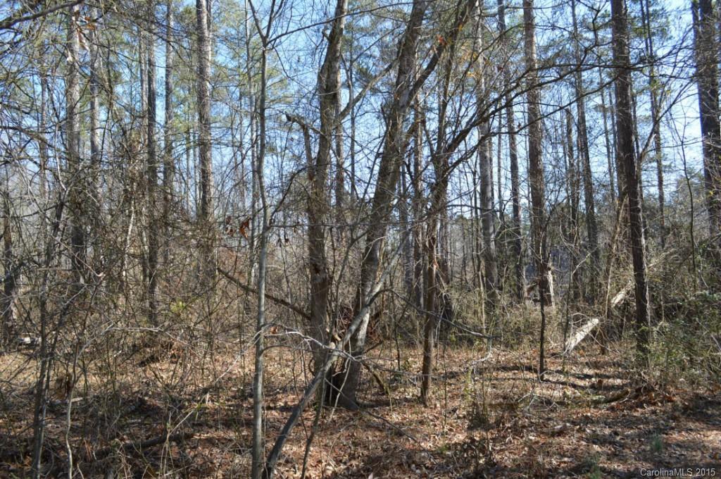 41 Rolling Road, Unit 41 Lincolnton, NC 28092 - Photo 6 of 7 Gallery Image 6