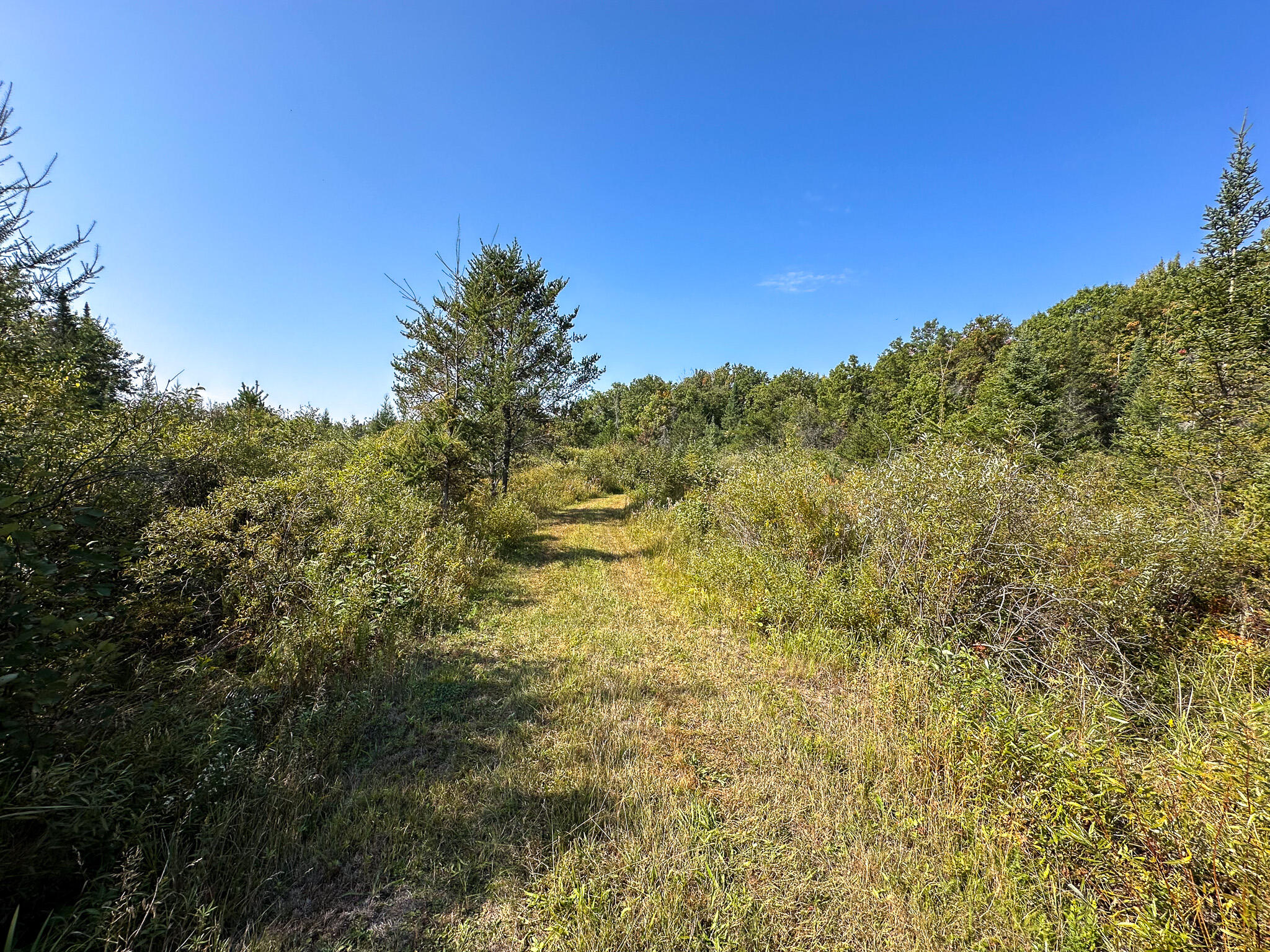 596 North River Road Lake, MI 48632 - Photo 30 of 49 Trail 4