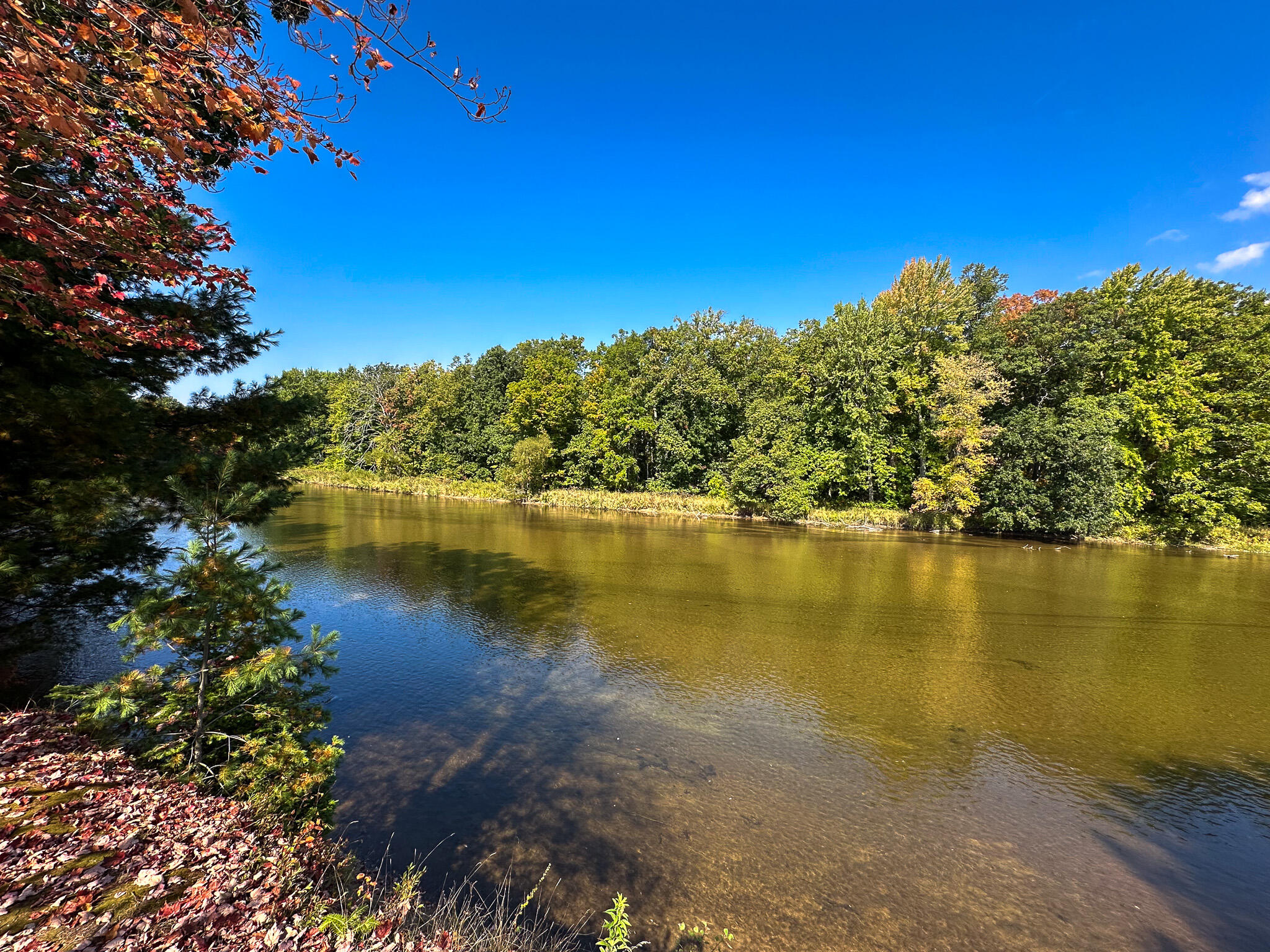 596 North River Road Lake, MI 48632 - Photo 42 of 49 River South