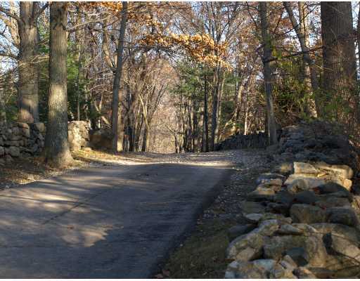 Undisclosed Address Greenwich, CT 06831 - Photo 2 of 10 a view of yard with green space