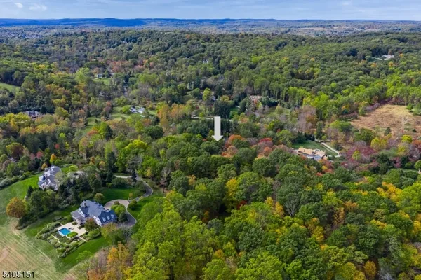 a view of a forest with a lush green forest