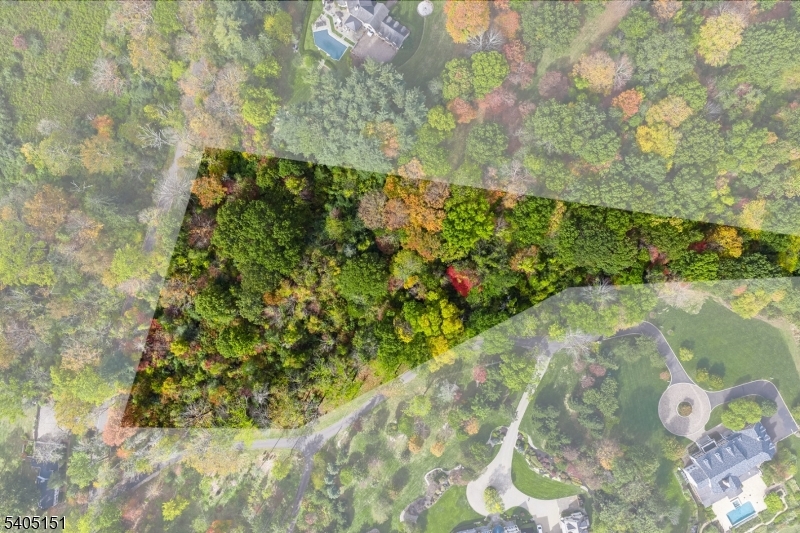 0 Branch Road Far Hills, NJ 07931 - Photo 2 of 7