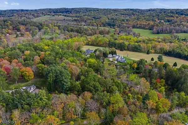 an aerial view of a houses with a lush green hillside