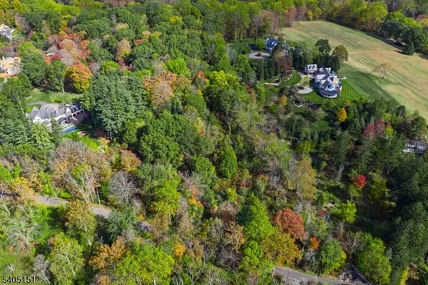 view of outdoor space with lots of trees