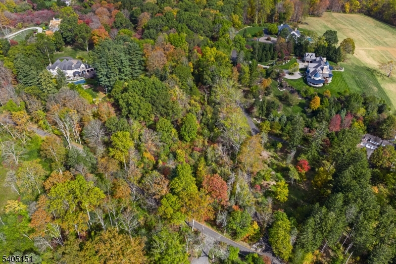 0 Branch Road Far Hills, NJ 07931 - Photo 6 of 7
