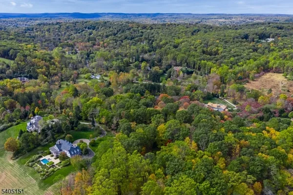 a view of a forest with a lush green forest