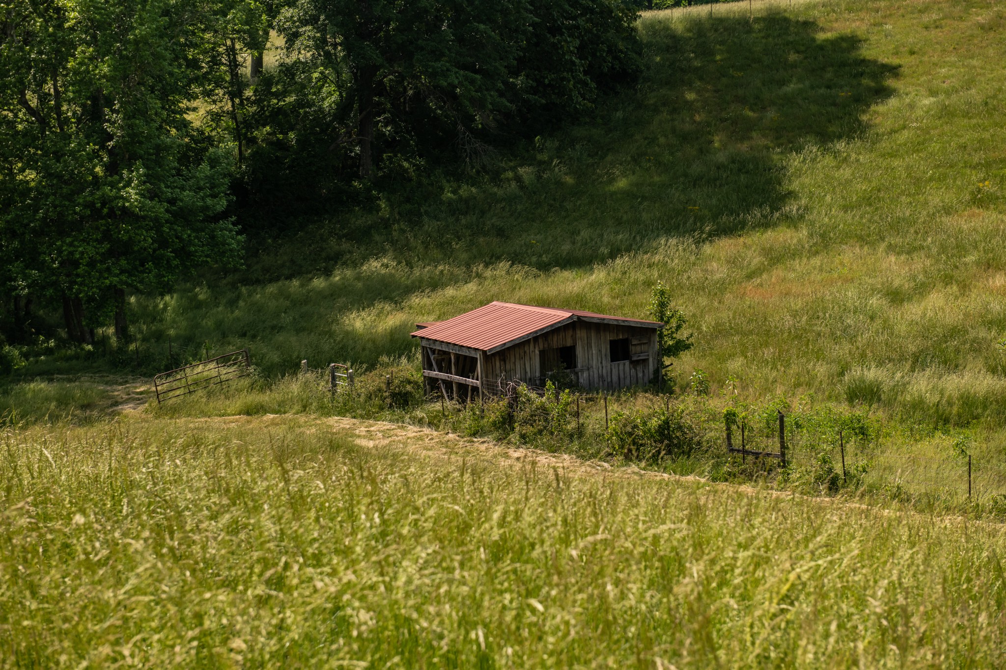 900 Waldrop Road Mount Pleasant, TN 38474 - Photo 48 of 62 Gallery Image 48