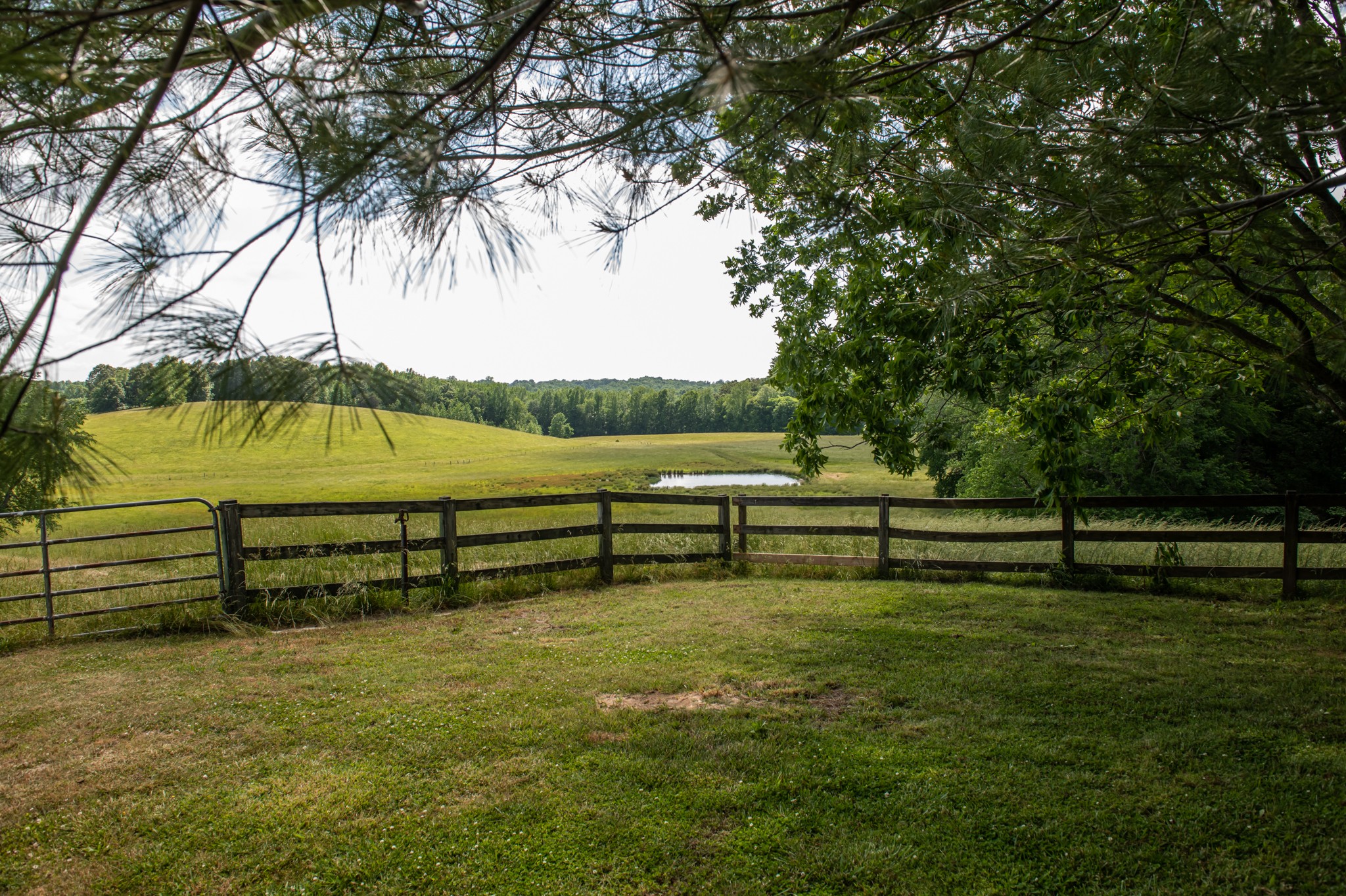 900 Waldrop Road Mount Pleasant, TN 38474 - Photo 58 of 62 Gallery Image 58