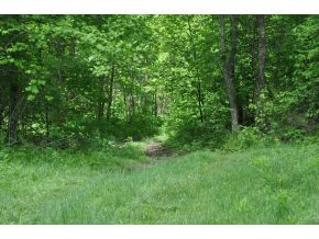 Tbd Red Fork Road Unicoi, TN 37692 - Photo 3 of 9 Photo 3