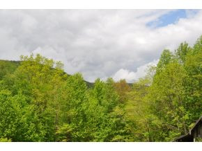 Tbd Red Fork Road Unicoi, TN 37692 - Photo 6 of 9 Photo 7