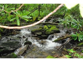 Tbd Red Fork Road Unicoi, TN 37692 - Photo 8 of 9 Photo 9