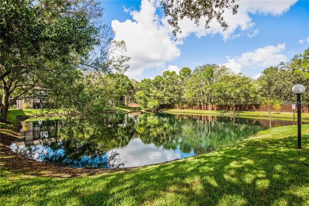 4006 Angel Oak Court, Unit 202 Tampa, FL 33613 - Photo 15 of 15 a view of a lake with a yard