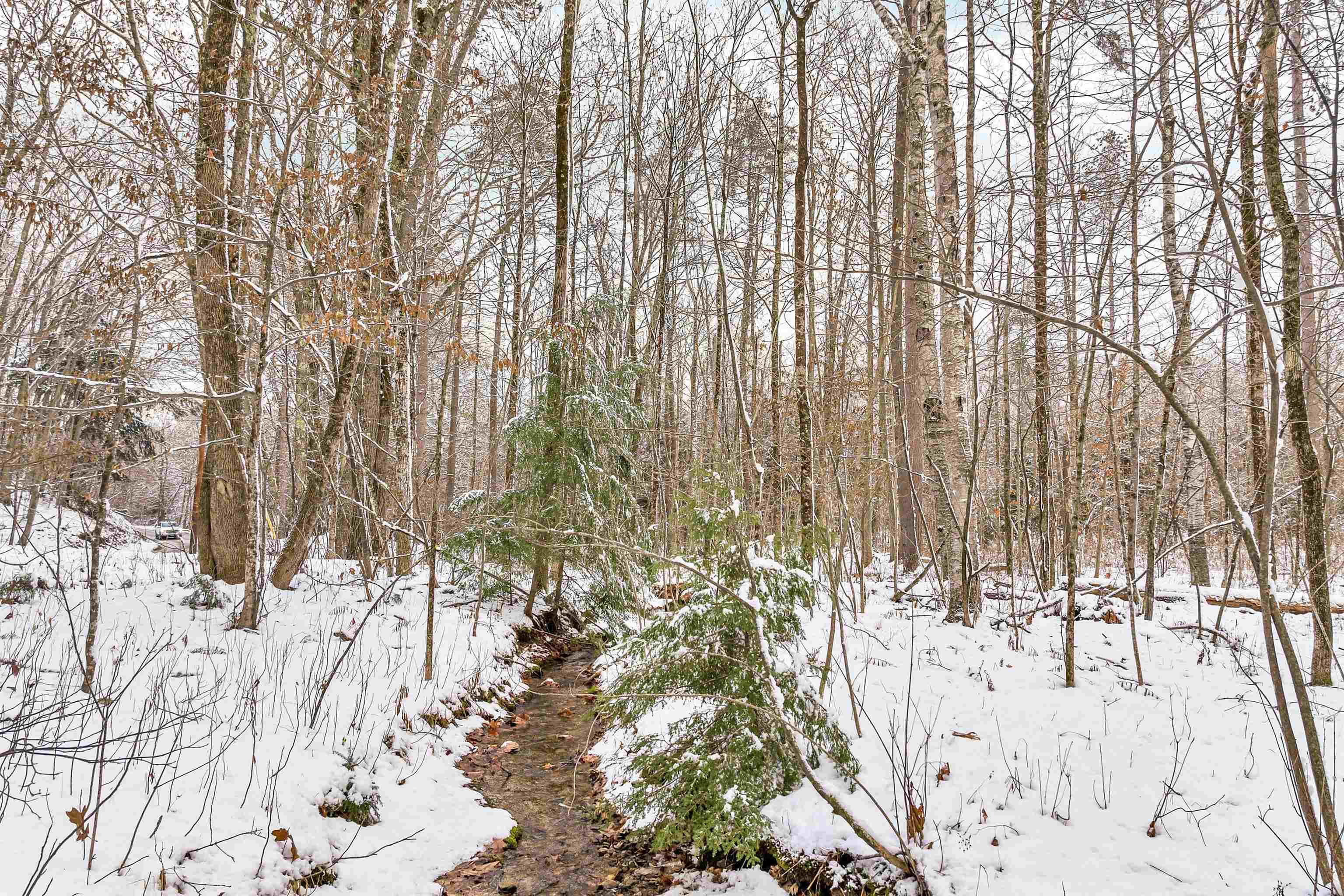 757 Buffalo Road Rumney, NH 03266 - Photo 11 of 31 Gallery Image 11