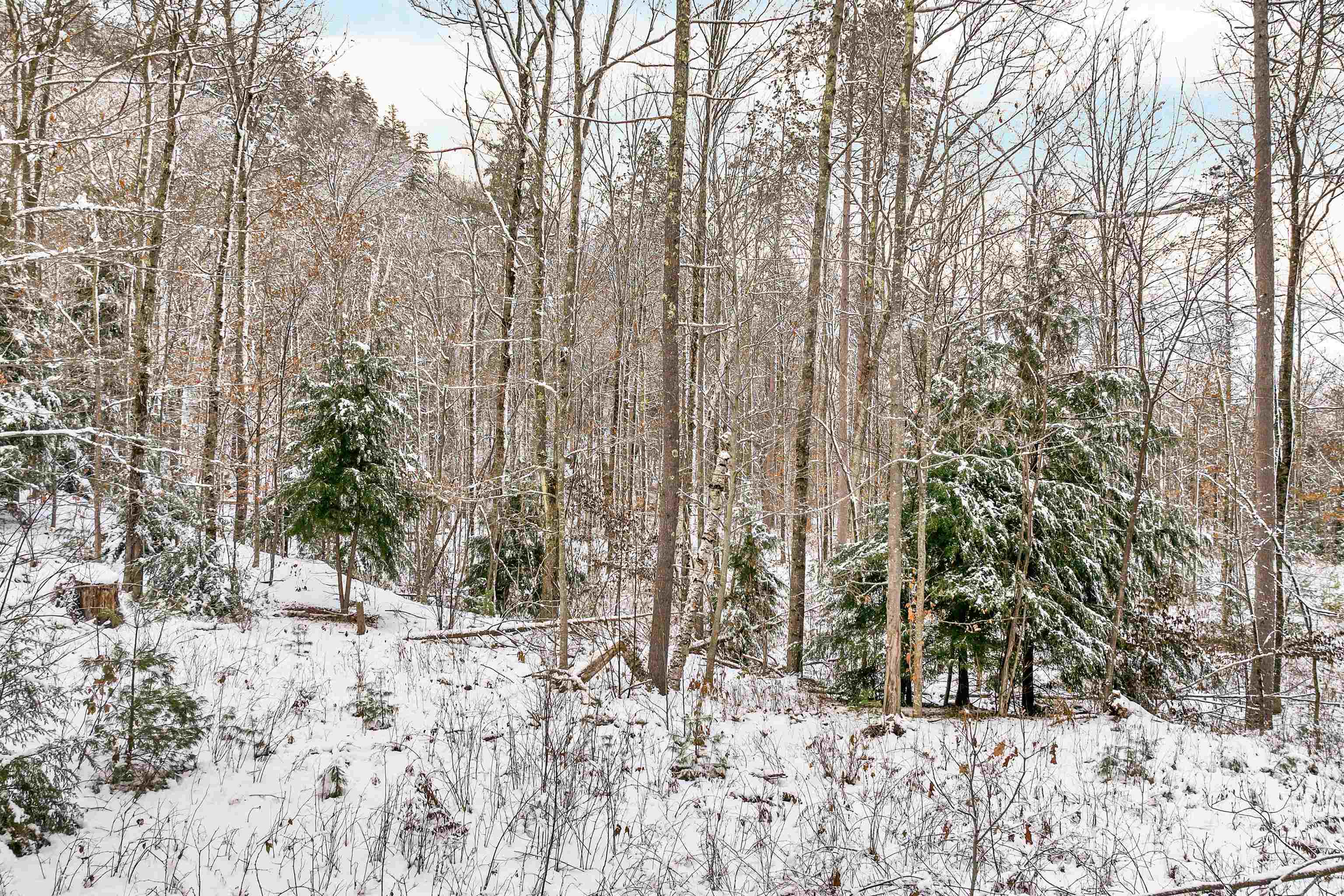 757 Buffalo Road Rumney, NH 03266 - Photo 12 of 31 Gallery Image 12