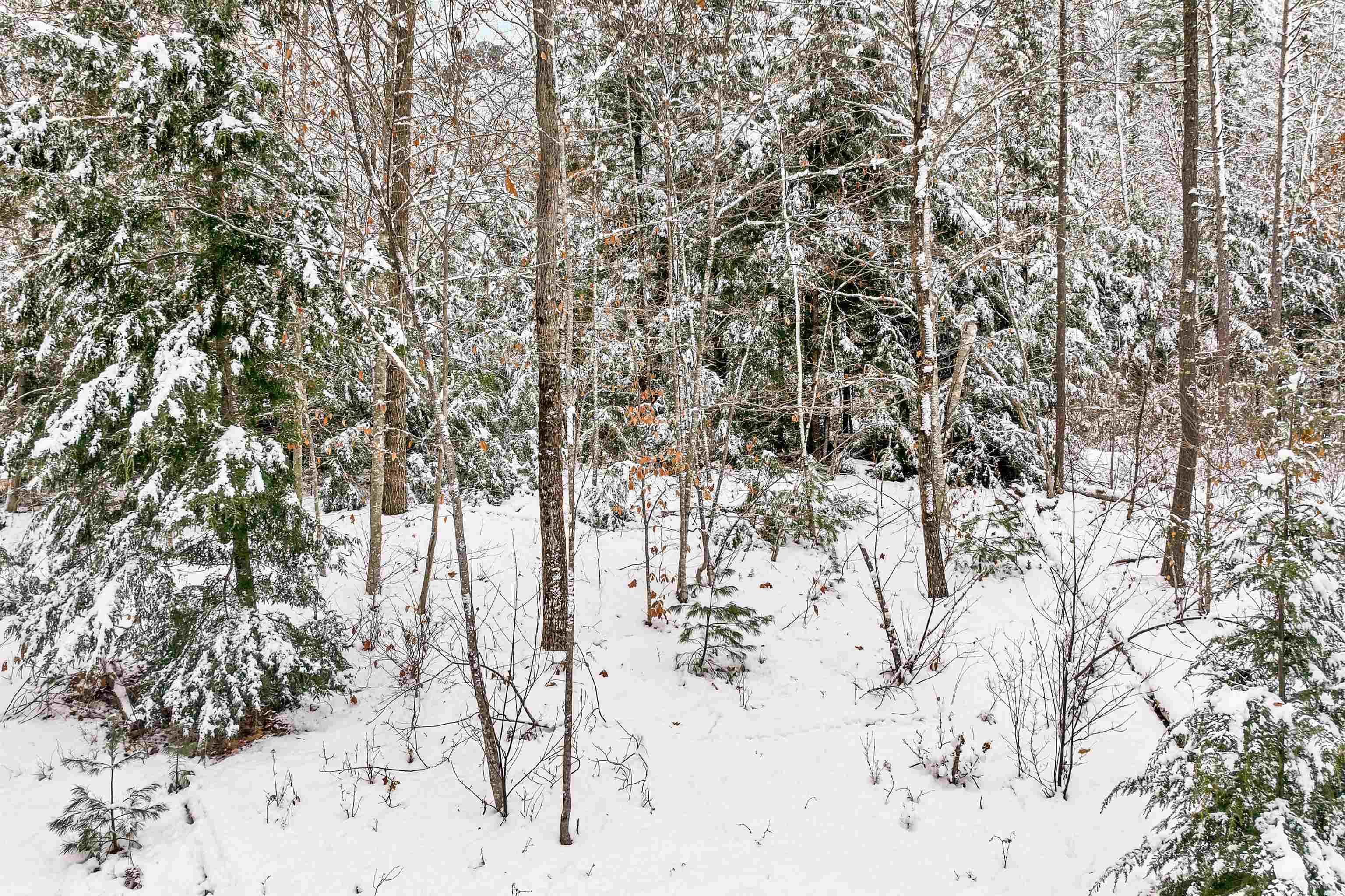 757 Buffalo Road Rumney, NH 03266 - Photo 14 of 31 Gallery Image 14