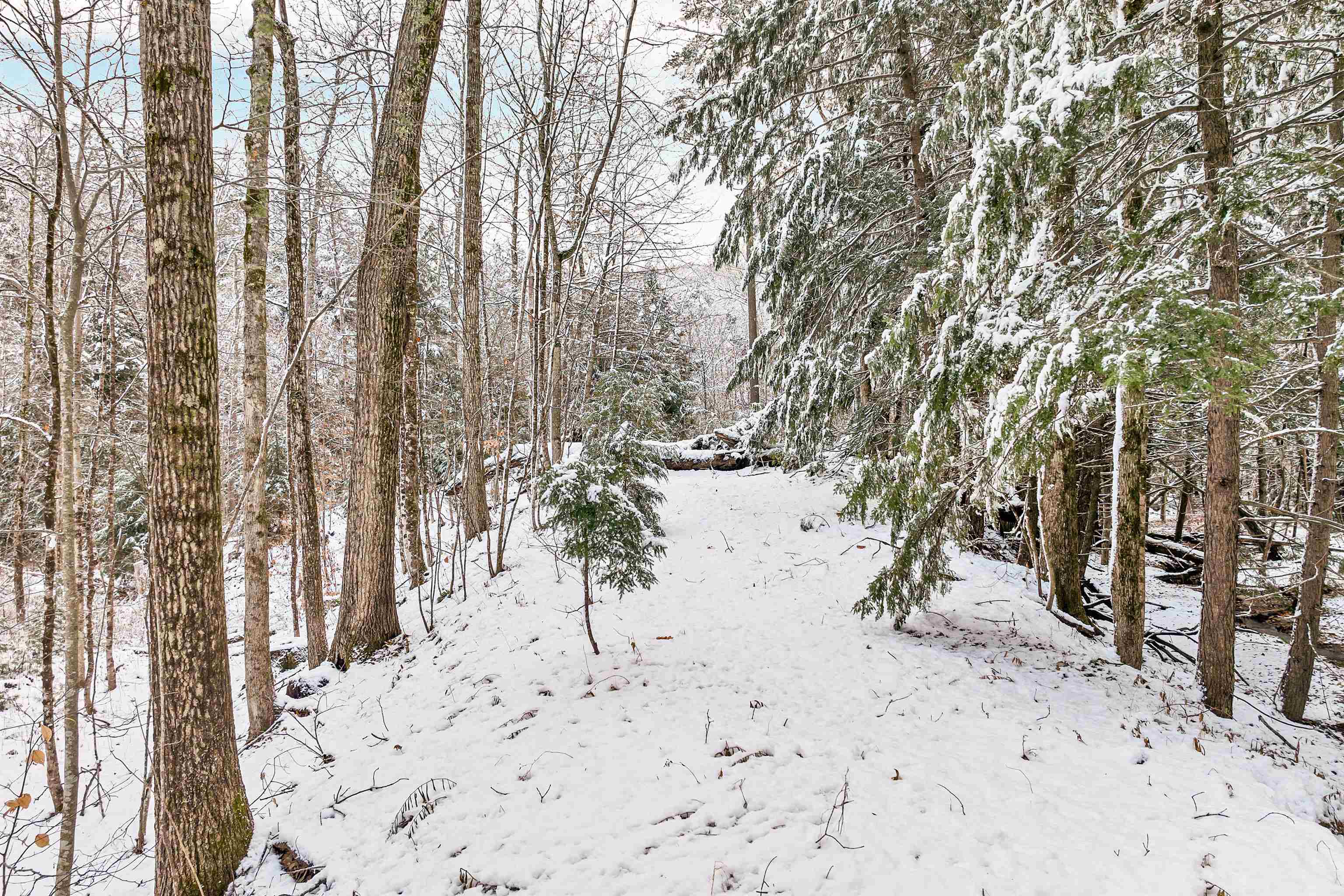 757 Buffalo Road Rumney, NH 03266 - Photo 15 of 31 Gallery Image 15