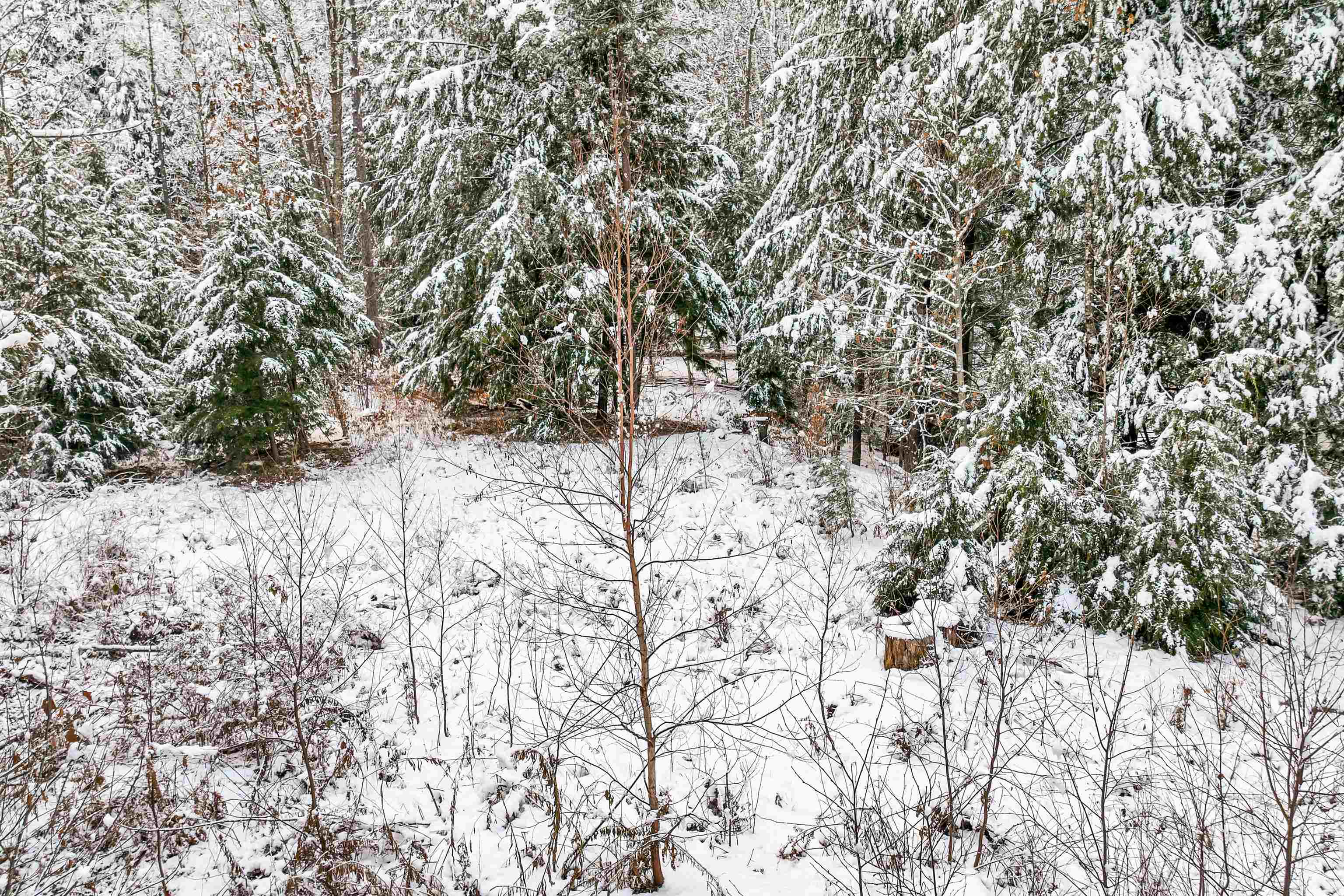 757 Buffalo Road Rumney, NH 03266 - Photo 16 of 31 Gallery Image 16
