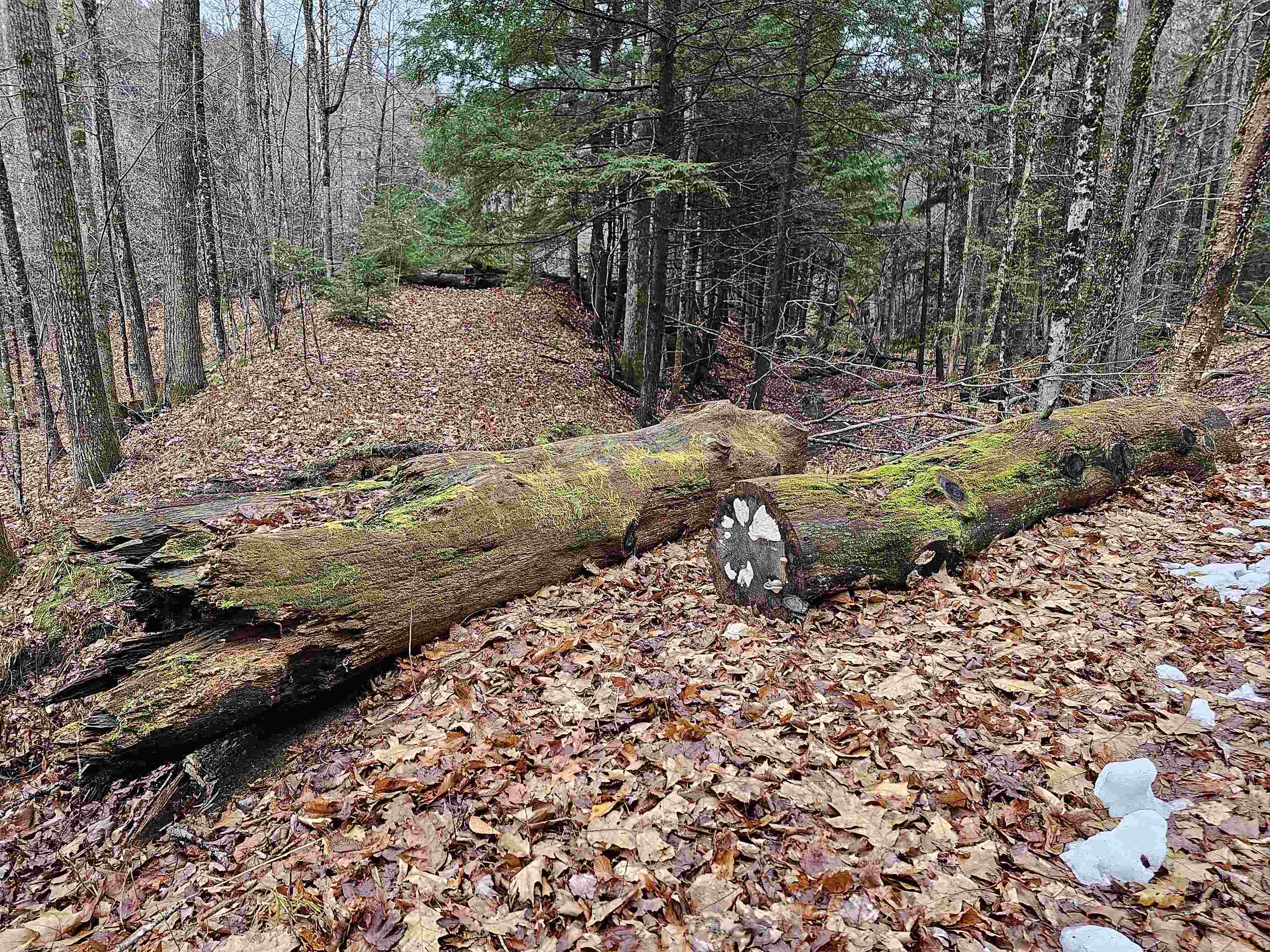 757 Buffalo Road Rumney, NH 03266 - Photo 27 of 31 Gallery Image 27
