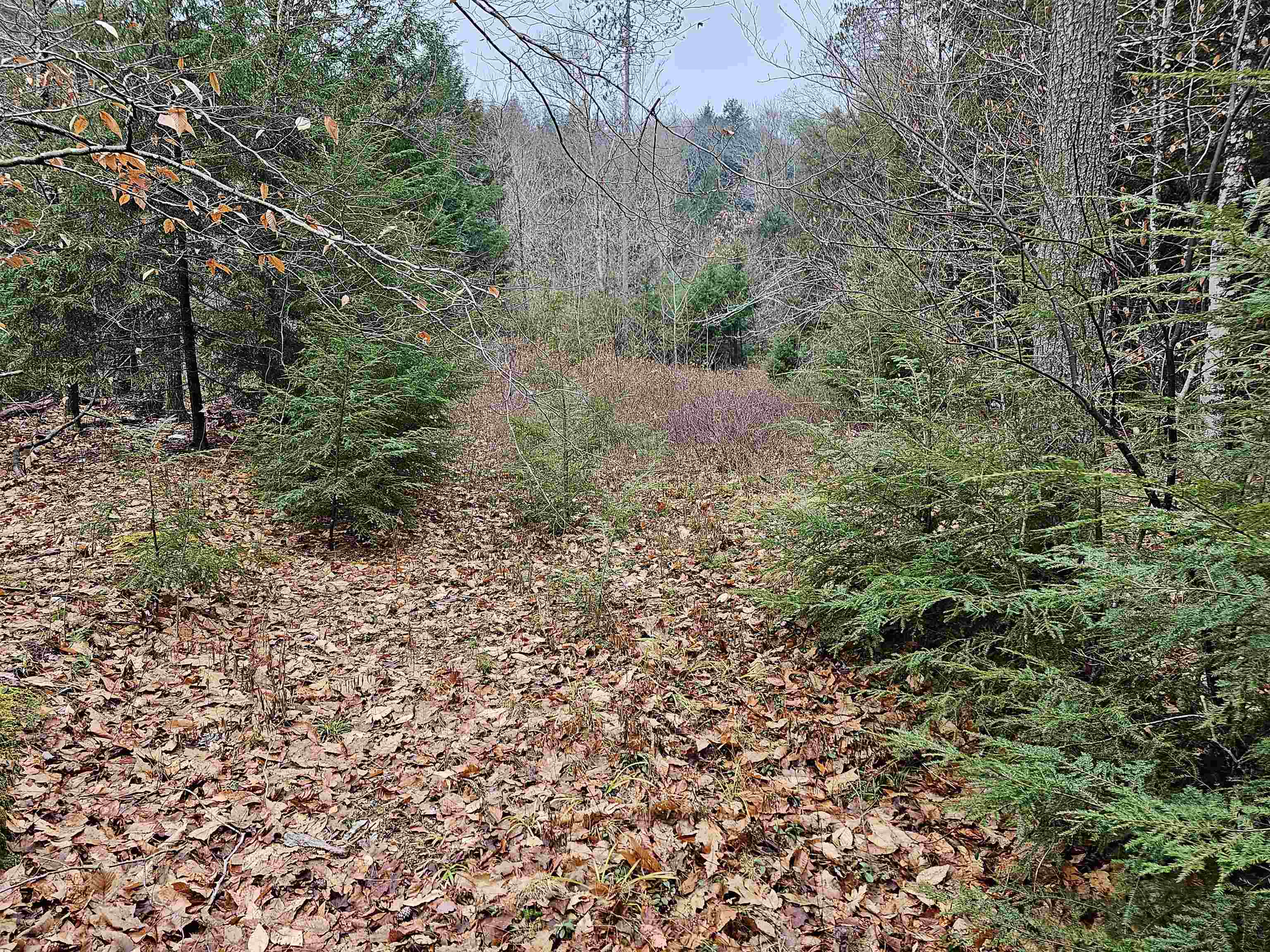 757 Buffalo Road Rumney, NH 03266 - Photo 28 of 31 Gallery Image 28