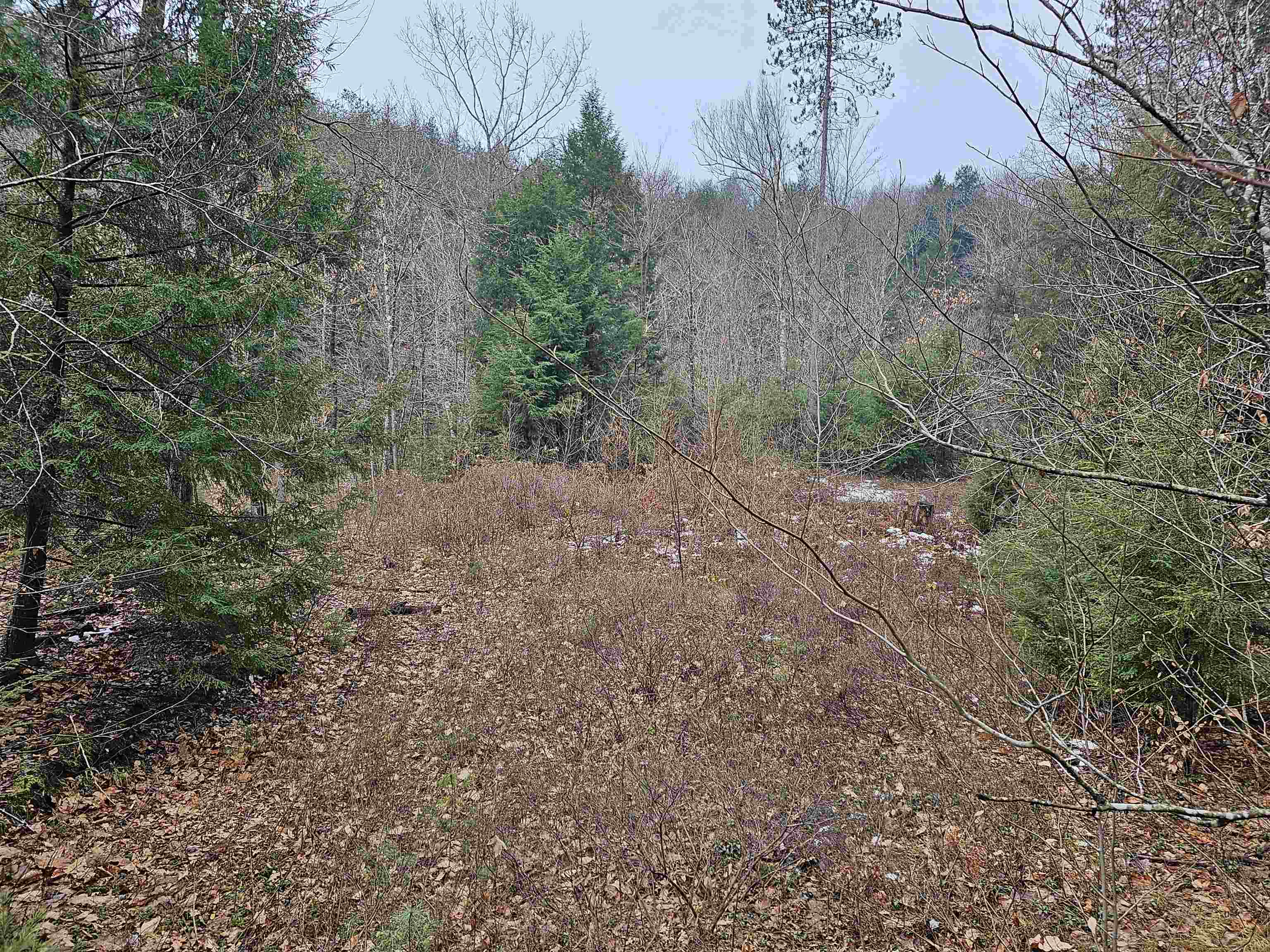 757 Buffalo Road Rumney, NH 03266 - Photo 29 of 31 Gallery Image 29