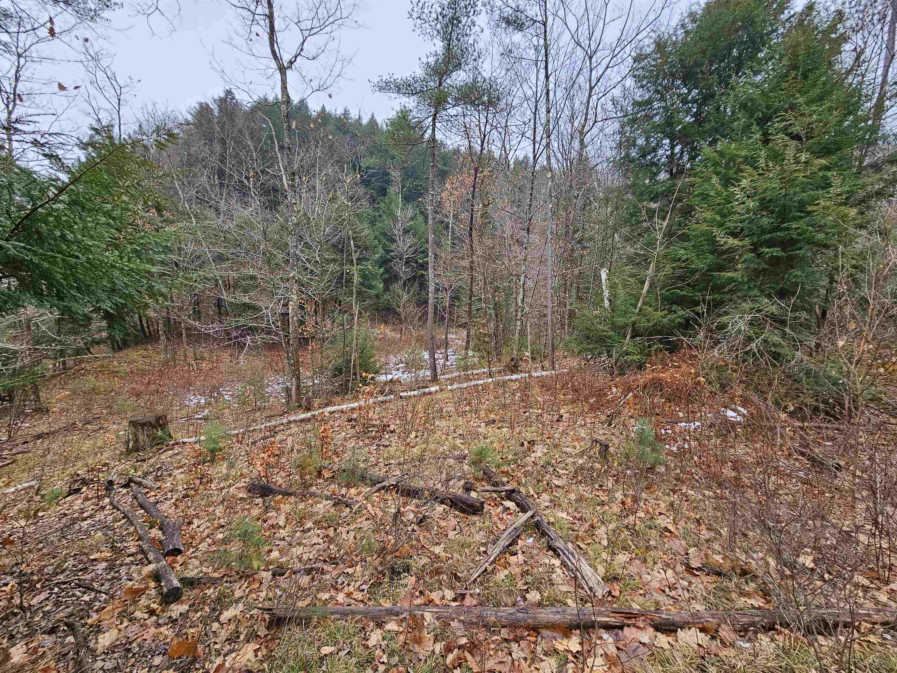 757 Buffalo Road Rumney, NH 03266 - Photo 30 of 31 Gallery Image 30