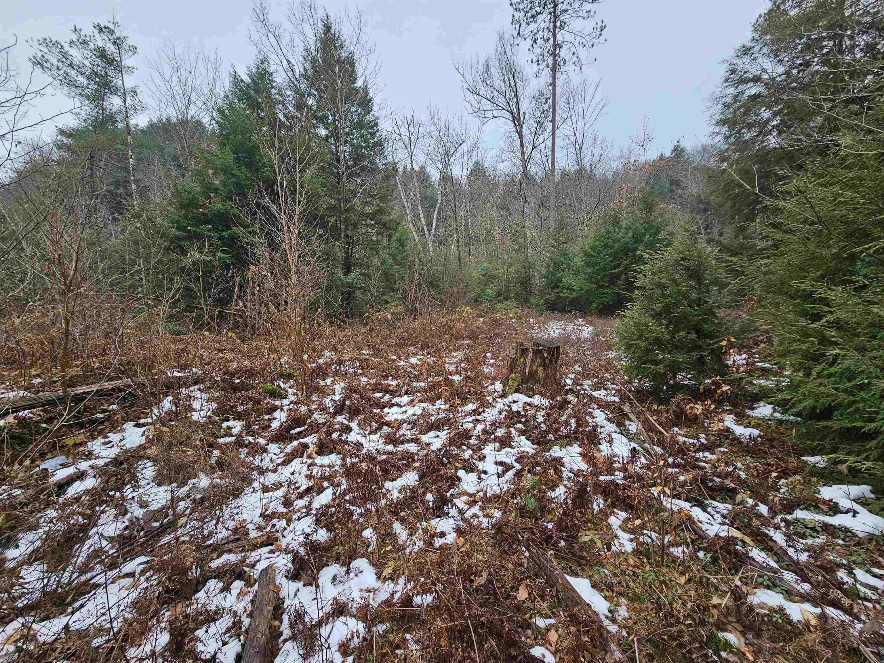 757 Buffalo Road Rumney, NH 03266 - Photo 31 of 31 Gallery Image 31