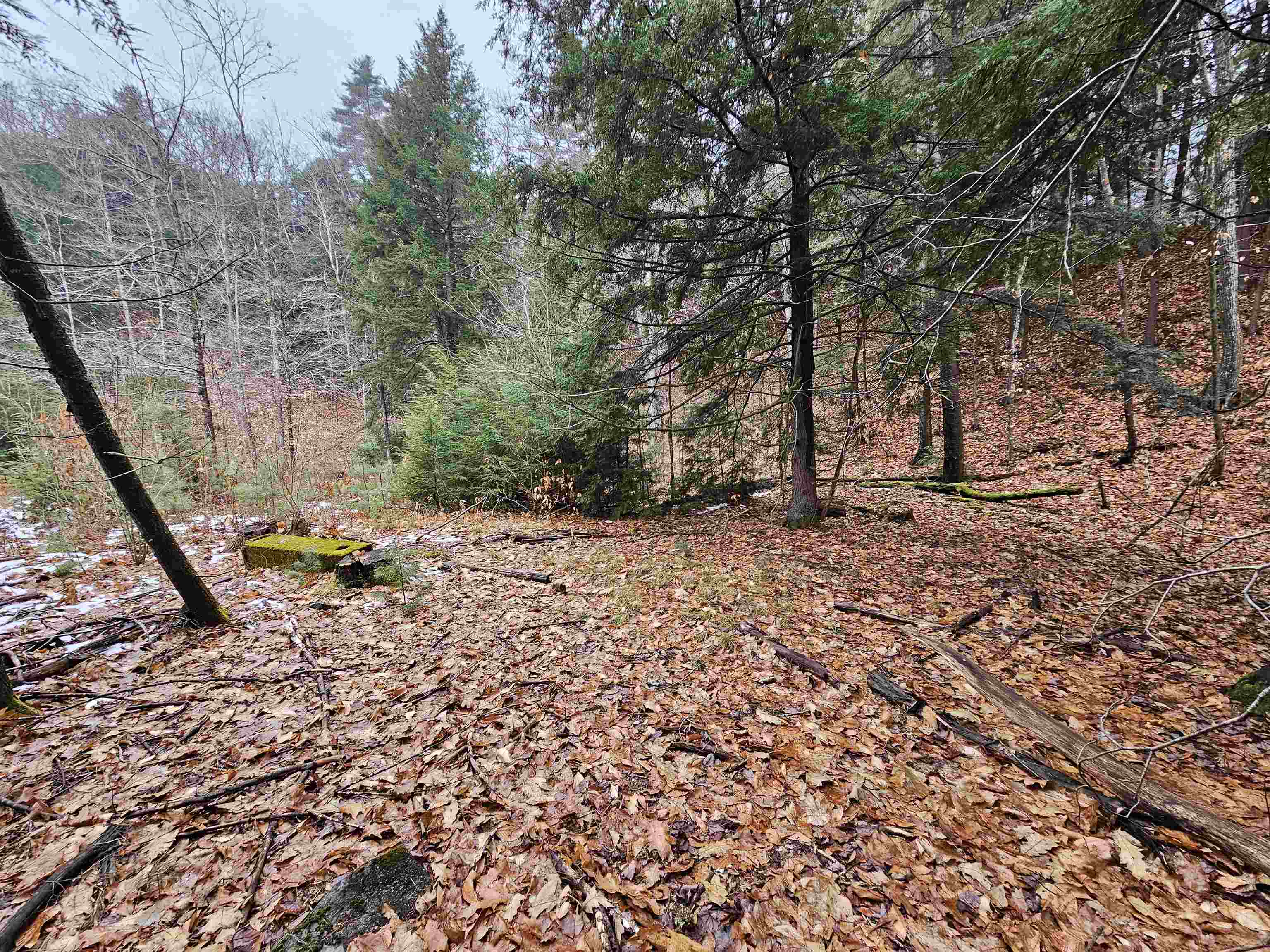 757 Buffalo Road Rumney, NH 03266 - Photo 4 of 31 Gallery Image 4