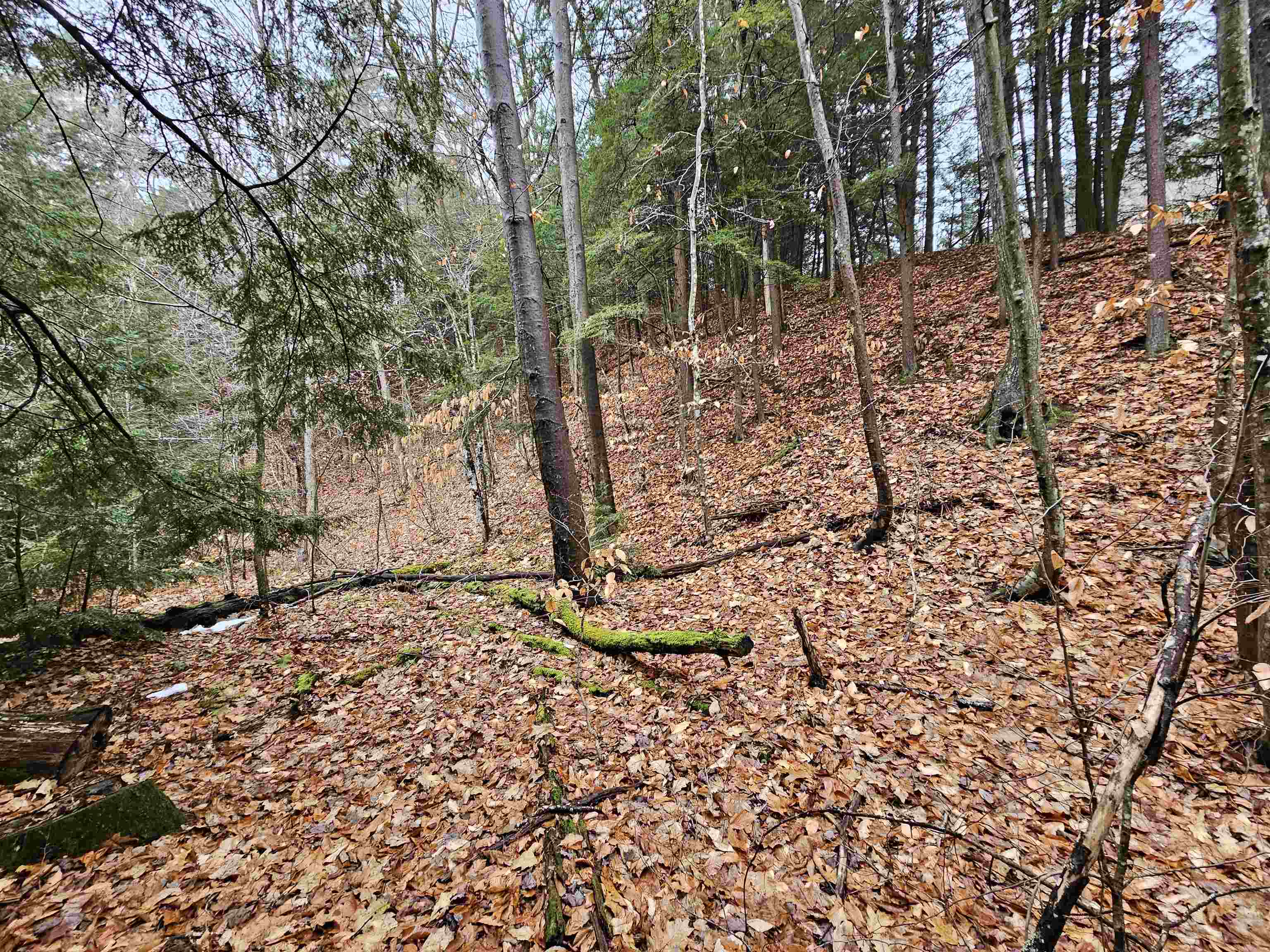 757 Buffalo Road Rumney, NH 03266 - Photo 5 of 31 Gallery Image 5