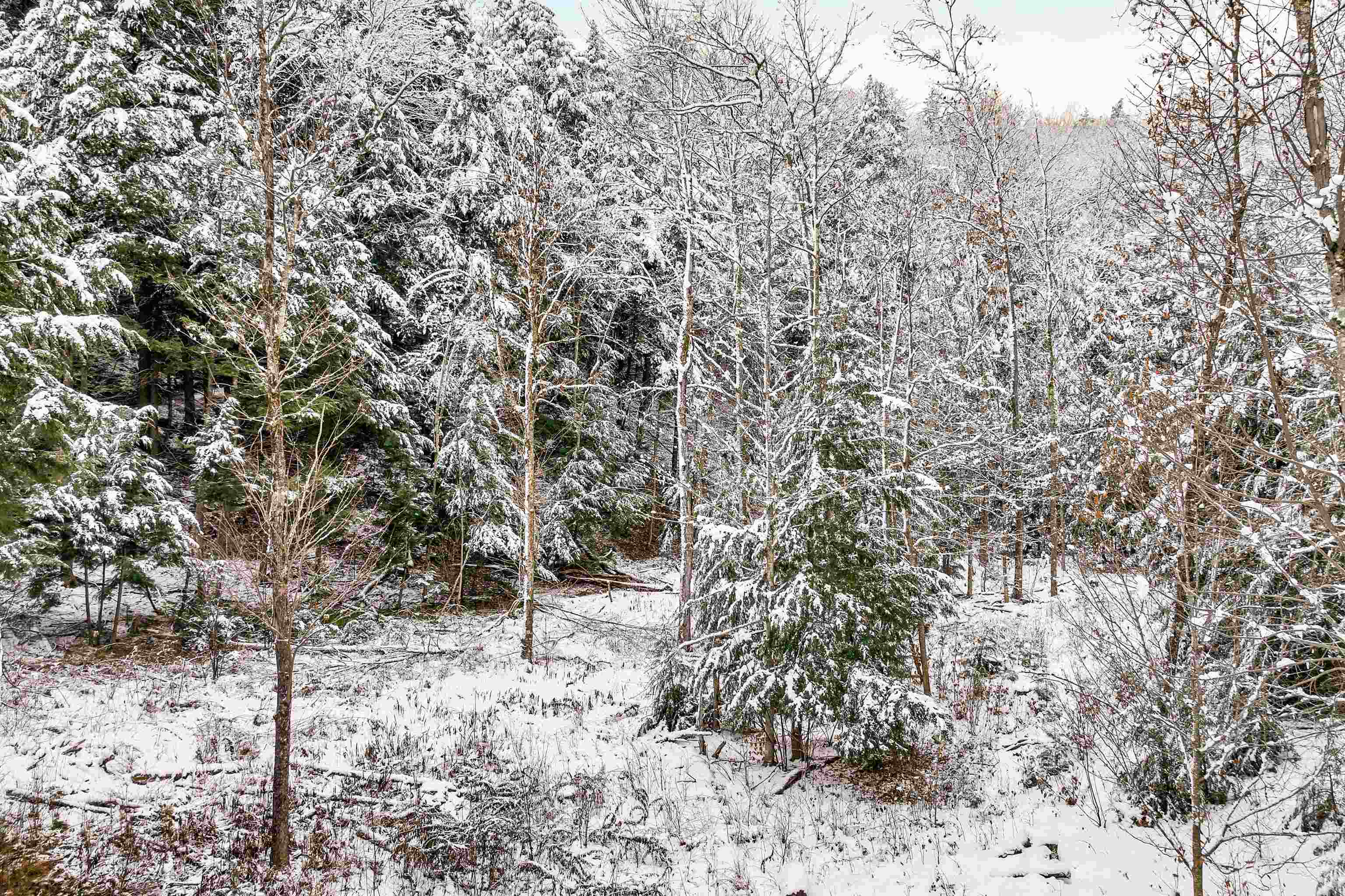 757 Buffalo Road Rumney, NH 03266 - Photo 8 of 31 Gallery Image 8