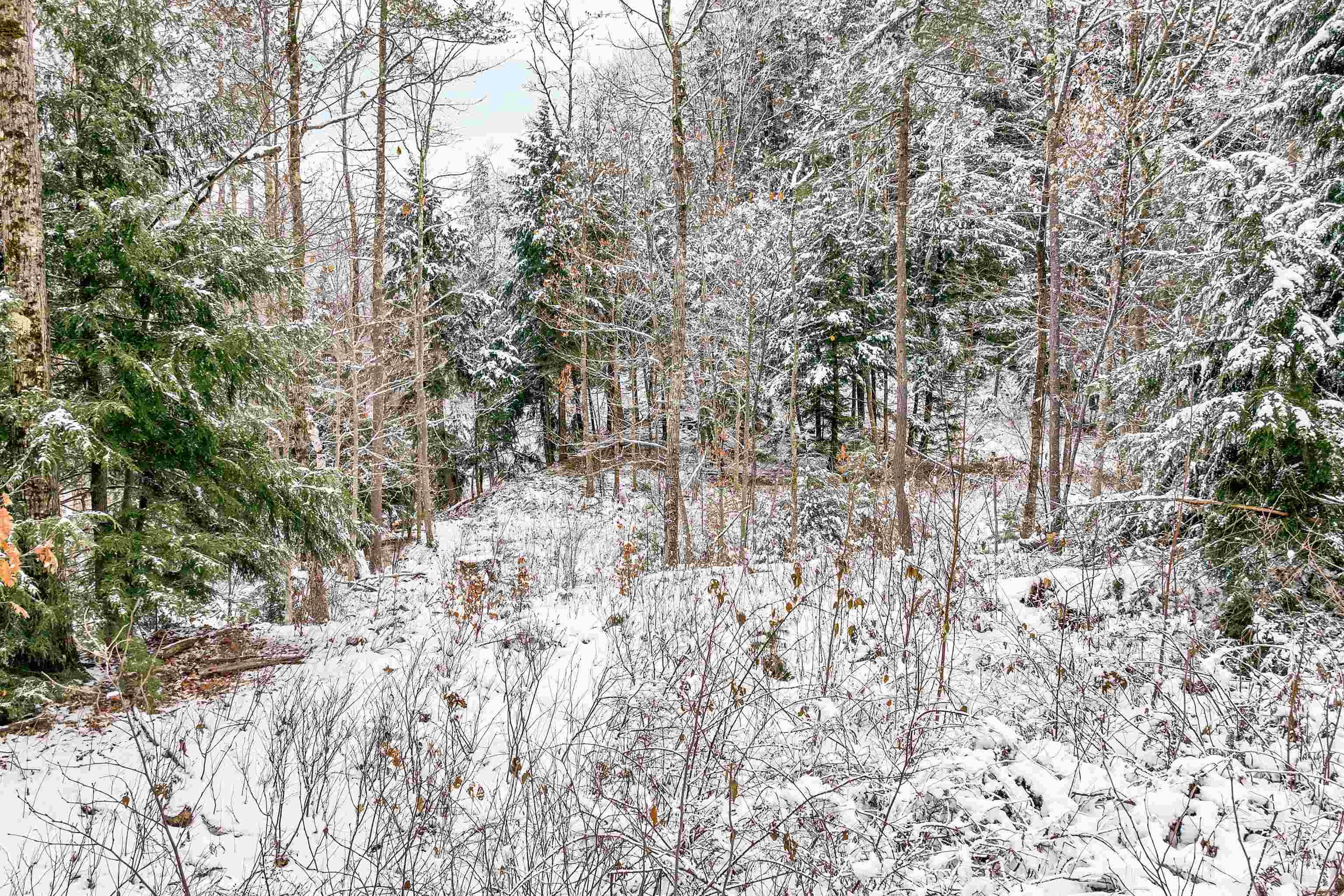 757 Buffalo Road Rumney, NH 03266 - Photo 9 of 31 Gallery Image 9