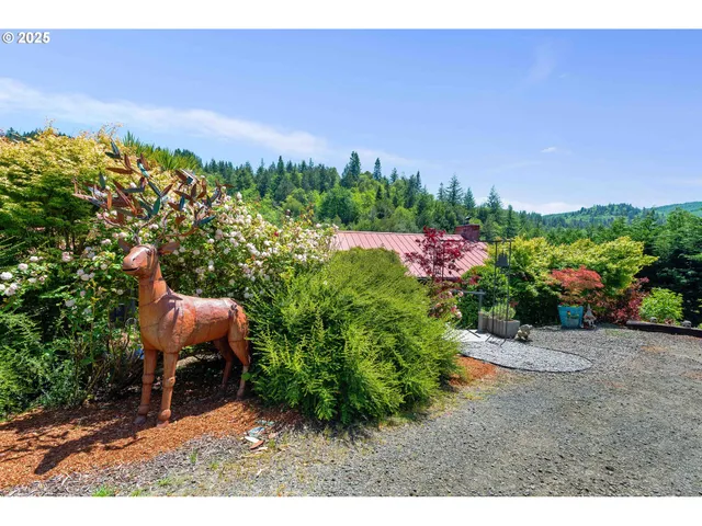 a view of a outdoor space and a yard