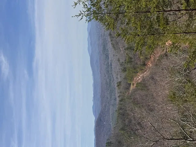 a bathroom with a shower curtain