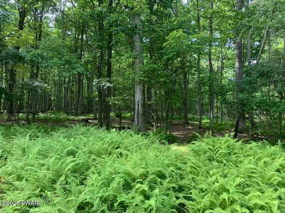 177 Forest Ridge Drive Hawley, PA 18428 - Photo 1 of 6