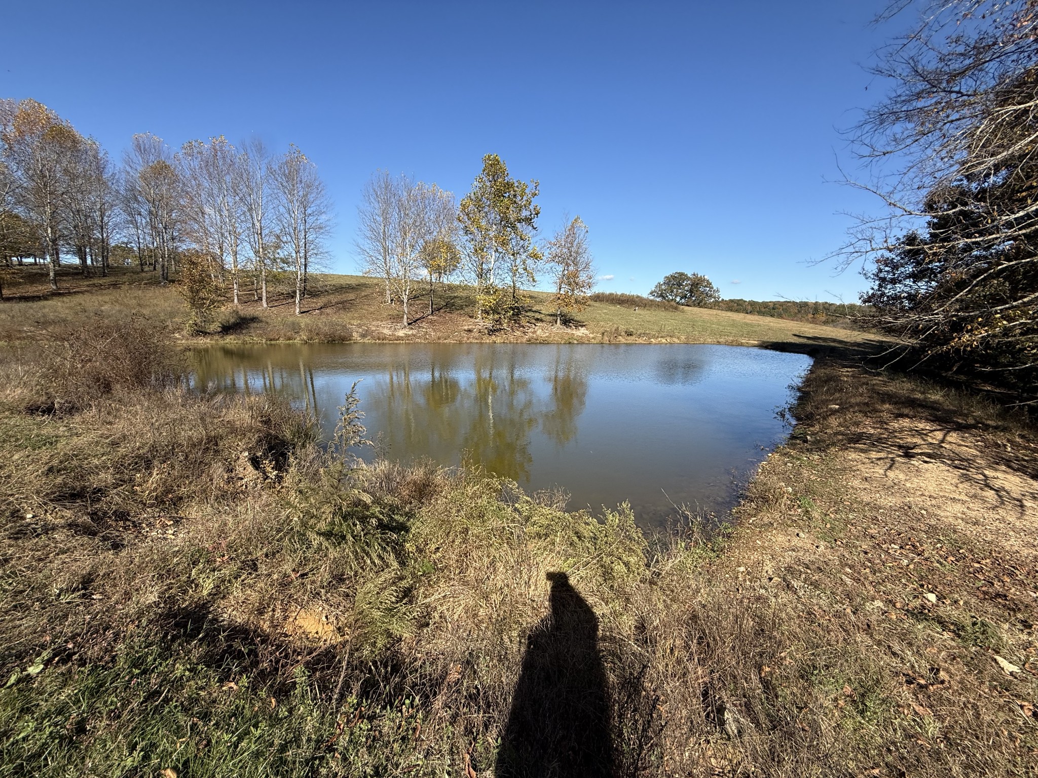 3 Henryville Road Ethridge, TN 38456 - Photo 13 of 16
